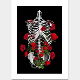 human anatomy rib cage Posters and Art